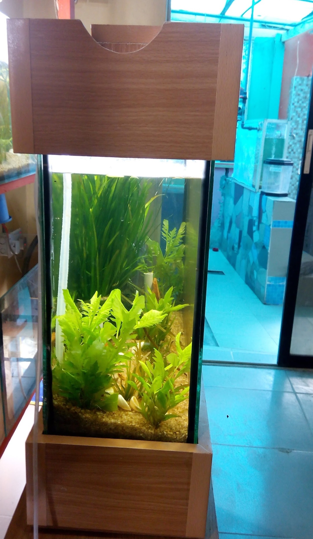 Screenshot_20250722_214051_Photos